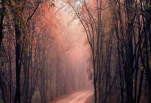 蓝鲸体育：神扑救主！索默社媒晒照庆祝：全队做出巨大努力，让我们继续前进.