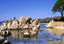 云达不莱梅vs门兴格拉德巴赫：安德烈-席尔瓦、施密德首发，板仓滉、普莱亚出战.